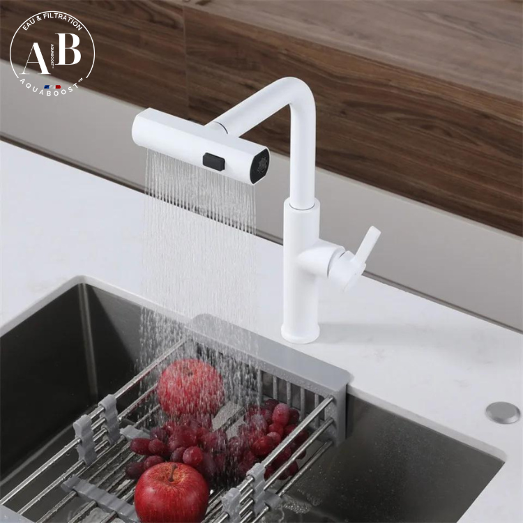 AQUATWIST Premium - Mitigeur de cuisine 3 modes avec douchette