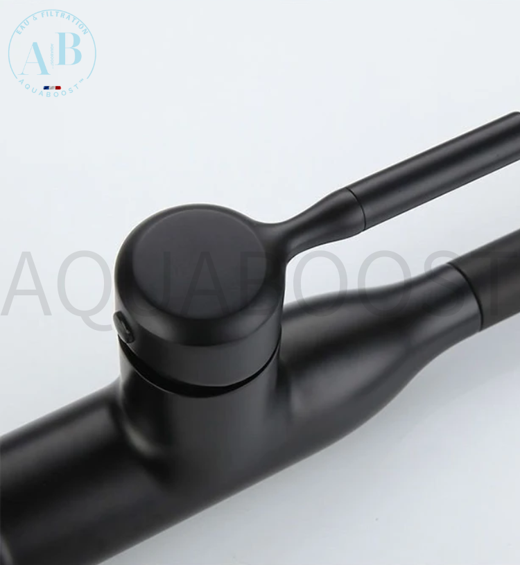 Mitigeur de cuisine SWAN