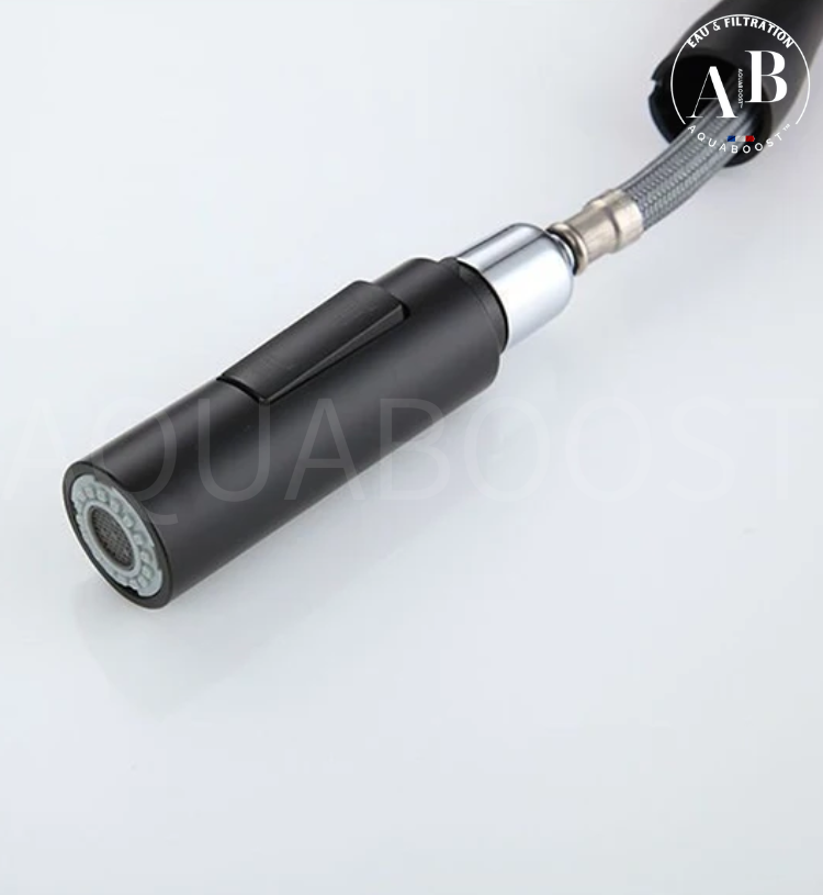 Mitigeur de cuisine SWAN