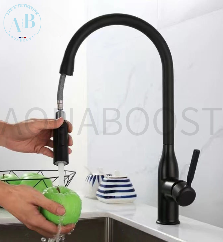 Mitigeur de cuisine SWAN