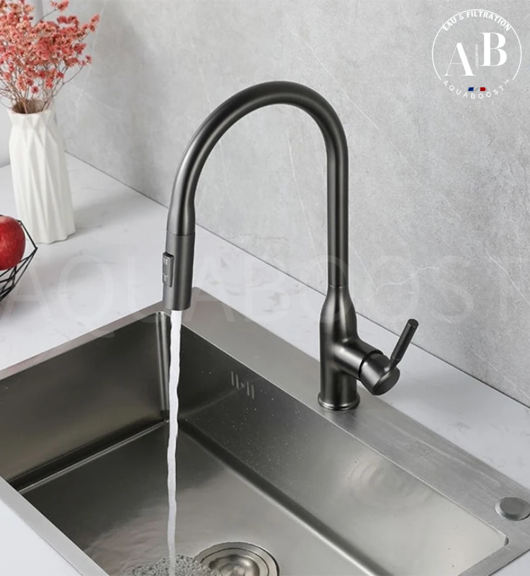 Mitigeur de cuisine SWAN