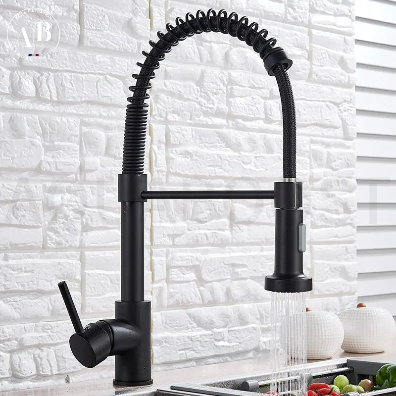 Mitigeur de Cuisine avec douchette