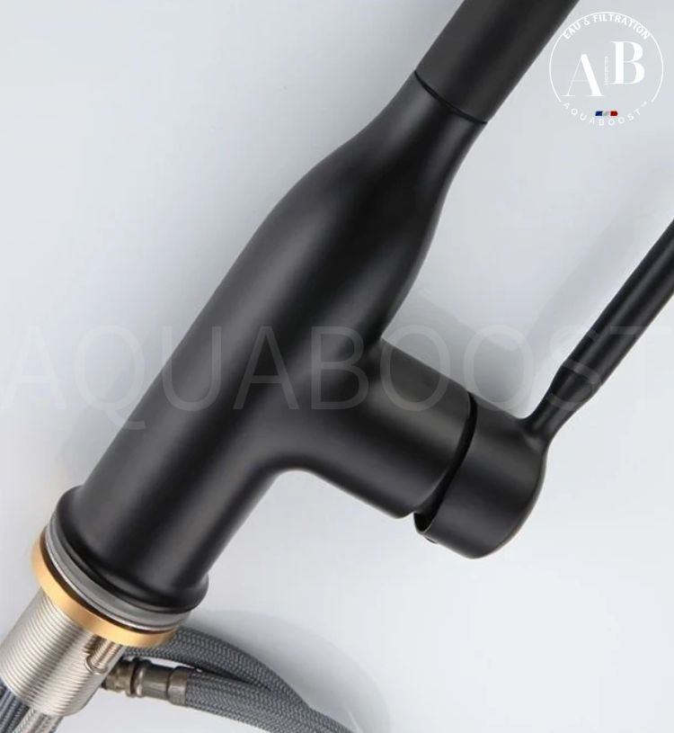 Mitigeur de cuisine SWAN