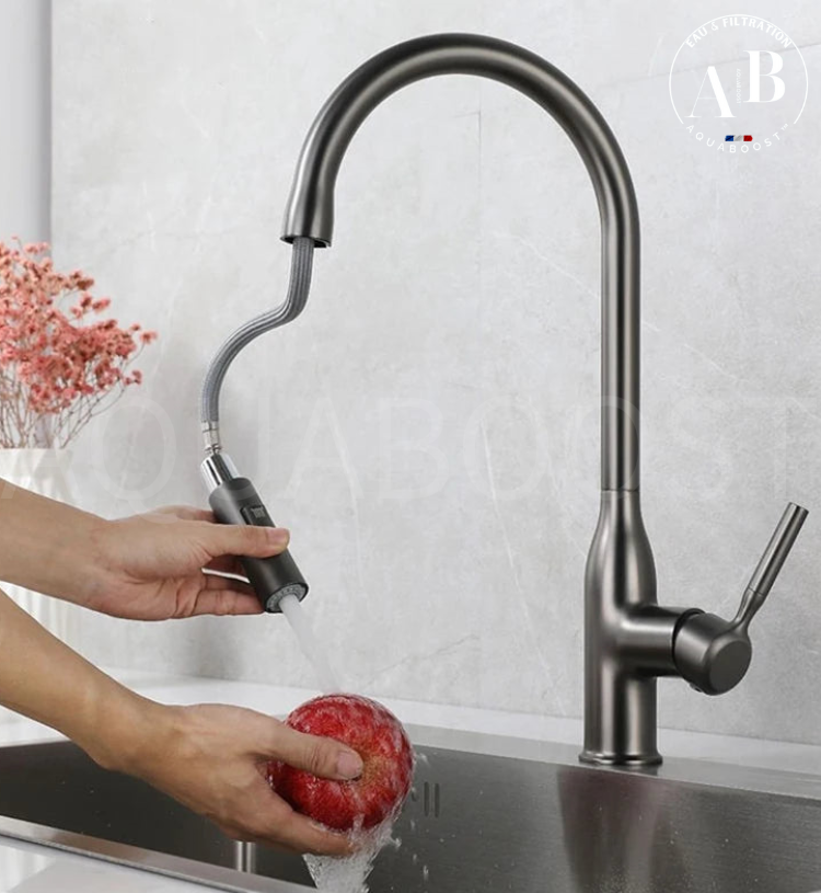 Mitigeur de cuisine SWAN