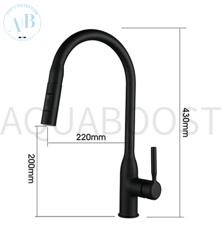 Mitigeur de cuisine SWAN