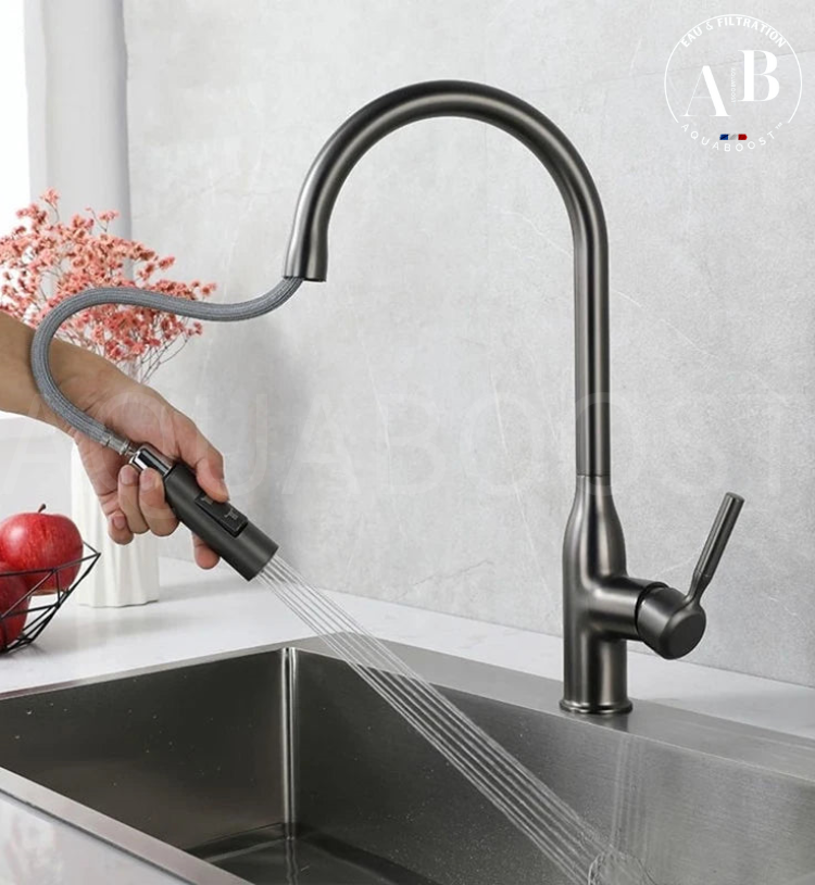 Mitigeur de cuisine SWAN